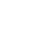 Logo RINA certificate